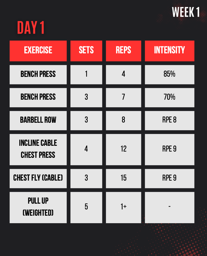 BENCH DOMINATION PROGRAM