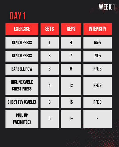 BENCH DOMINATION PROGRAM